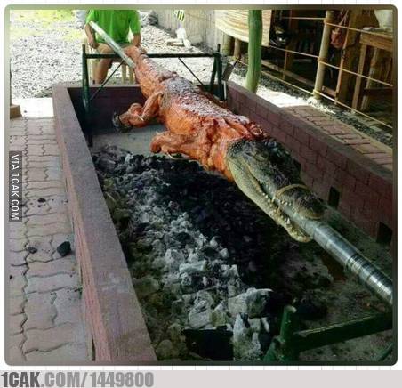 Potret kocak saat dibakar ini absurd banget bikin geleng-geleng kepala